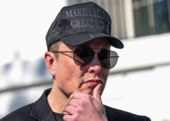 Tesla board looked for new CEO as Musk focused on White House, WSJ reports