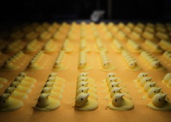 Yahoo lifestyle home