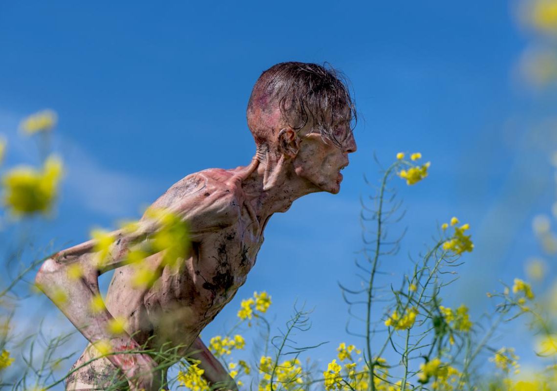 Yahoo entertainment home