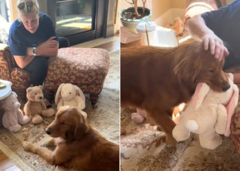 Yahoo lifestyle home