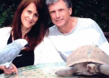 Yahoo entertainment home