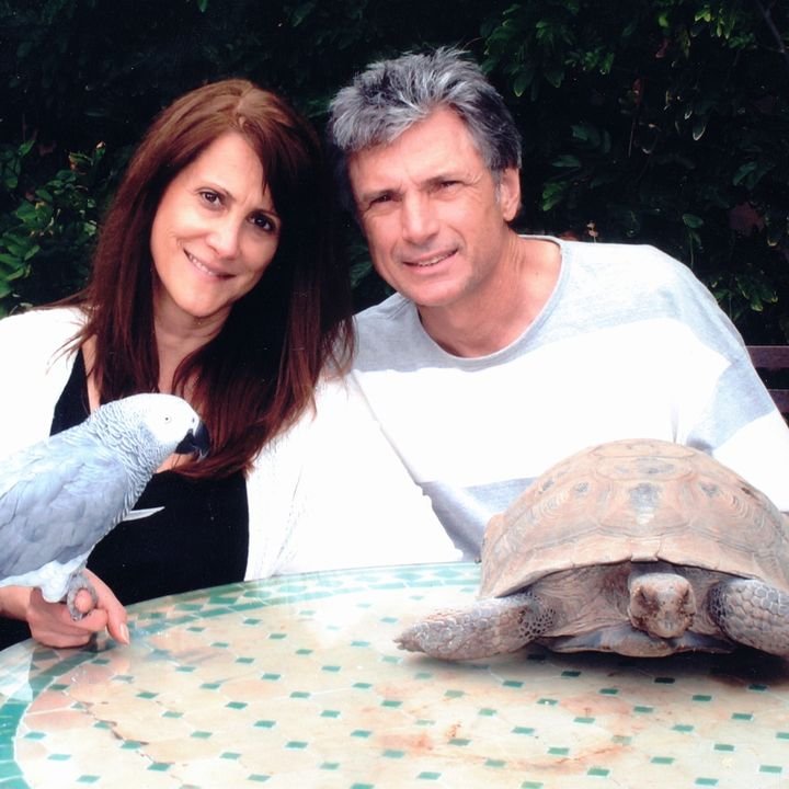 Yahoo entertainment home