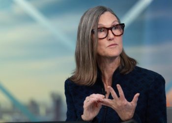 Cathie Wood says the AI race has already shrunk to the ‘Big 4’ key players, and it could soon drop to 2
