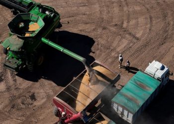 China expands Argentina soybean buying to 20 cargoes, traders say