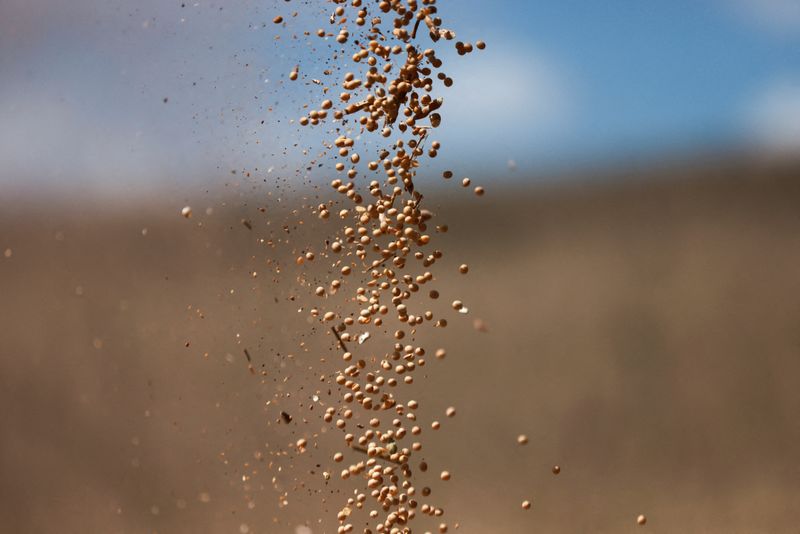 Brazil’s soybean exports to hit record as US out of market, Chinese demand strong