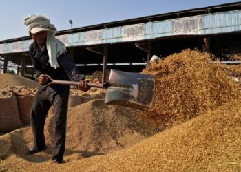 India allows exports of de-oiled rice bran after two-year ban