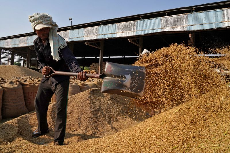 India allows exports of de-oiled rice bran after two-year ban