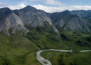 Trump Reopens Alaska’s Arctic Coastal Plain to Oil Drilling