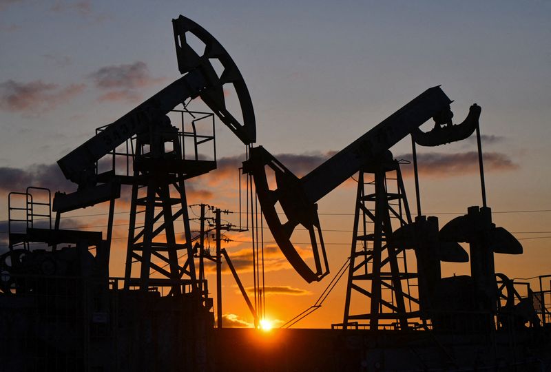 OPEC+ pauses oil output hikes beyond December amid glut fears